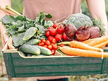 Диетолог назвала продукты, улучшающие иммунитет осенью