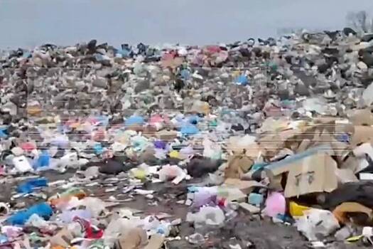 Жители российского города пожаловались на мусорные поля