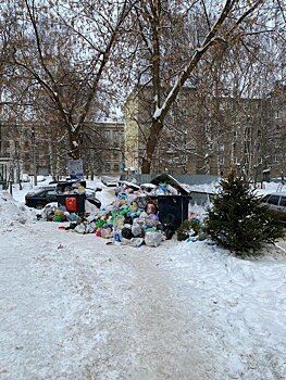          На 10-й день коллапса мусор не вывезли даже из двора дома рядом с правительством региона       