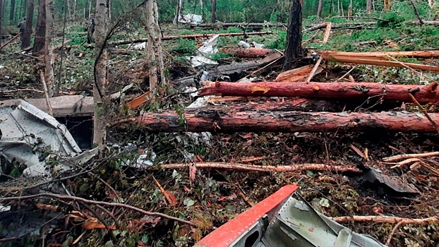 Самописцы разбившегося в Приамурье Ан-24 доставлены в Москву
