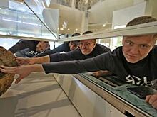 Учёные попросили не трогать осколки метеорита «Челябинск» из-за бактерий