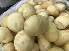 Кадмий и зеленые клубни: Роскачество проверило картофель