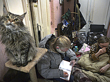 Экстренную соцпомощь получили почти 50 тысяч жителей Подмосковья