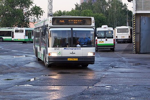 Болельщикам выделят бесплатные автобусы до "Лужников"
