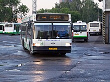 Болельщикам выделят бесплатные автобусы до "Лужников"
