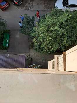 Серьезные травмы получил выпавший из окна ребенок в Пятигорске