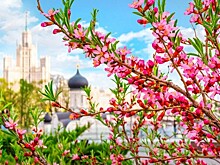 В храме иконы Божией Матери «Отрада и Утешение» на Каховке состоялся «Троицкий велопробег»