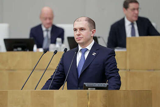 Депутат Михаил Романов предложил досматривать посетителей культурных учреждений