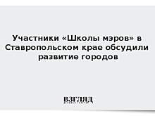 Участники «Школы мэров» в Ставропольском крае обсудили развитие городов