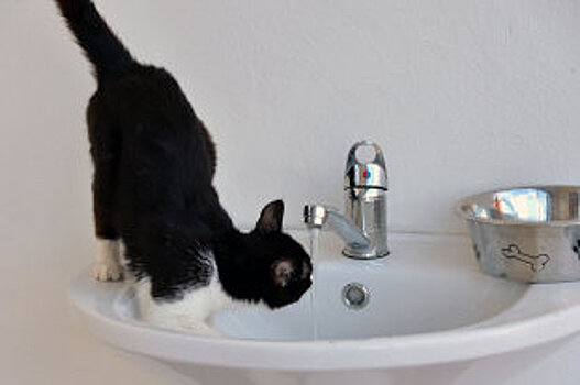 Новые правила для аварийных служб не отразятся на размере платежей