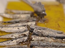 Как приготовить намазку из селедочного масла