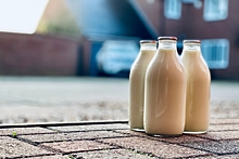 Нутрициолог Хлопова опровергла миф о вреде молока для взрослых