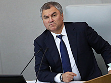 Володин анонсировал введение нового запрета для иностранцев
