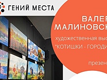 Картины с мурлыками покажет вологжанам «Книжный экспресс» (0+)