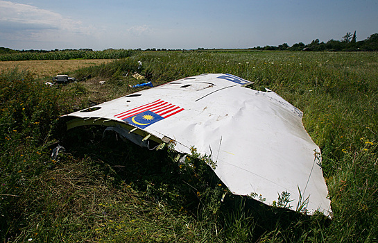 Клинцевич: Нидерланды затягивают расследование по MH17