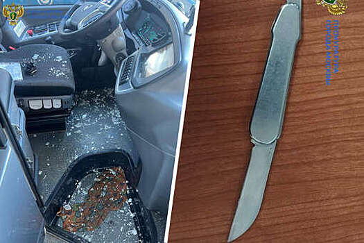 В Москве мужчина набросился с ножом на случайных прохожих и водителя маршрутки