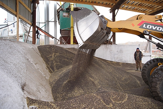 Свыше 80% площадей зерновых и зернобобовых культур оказалось убрано в Кузбассе