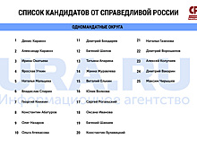 Эсеры утвердили выгодный мэру список на выборах в Екатеринбурге