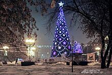 Главная городская елка в Иркутске откроется 23 декабря
