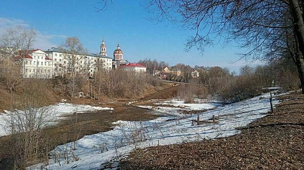 Овраг Засора планируют сделать территорией для творчества