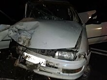В ДТП на трассе Казань –Ульяновск пострадали четыре человека, в том числе ребенок