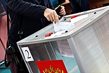 Москвичам предложат электронное голосование по Конституции