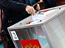 Москвичам предложат электронное голосование по Конституции