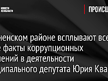 В Тосненском районе всплывают все новые факты коррупционных нарушений в деятельности муниципального депутата Юрия Кваши