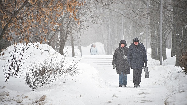 Синоптик рассказал, как долго в столице продержится снег
