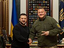 В Раде назвали Залужного и Зеленского одинаково тупыми