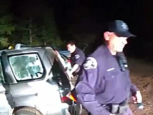 Медведь заперся в автомобиле и принялся бибикать