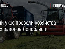 Первый укос провели хозяйства южных районов Ленобласти
