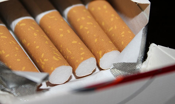 Политик Катасонов: Запрет на курение в общественных местах за 10 лет стал нормой