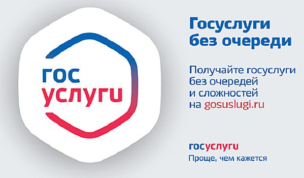 Красивые автономера предлагают продавать на «Госуслугах»