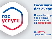 Красивые автономера предлагают продавать на «Госуслугах»