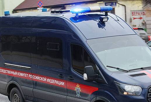 Рецидивиста арестовали за приставания к российским школьницам на улице
