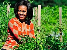 Мелания Трамп решила сохранить огород Мишель Обамы