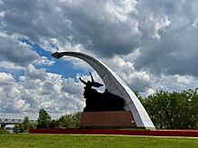 Западная хорда не навредит Кумженской роще