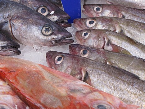 Диетолог рассказала, какая рыба полезна для сердца и щитовидной железы