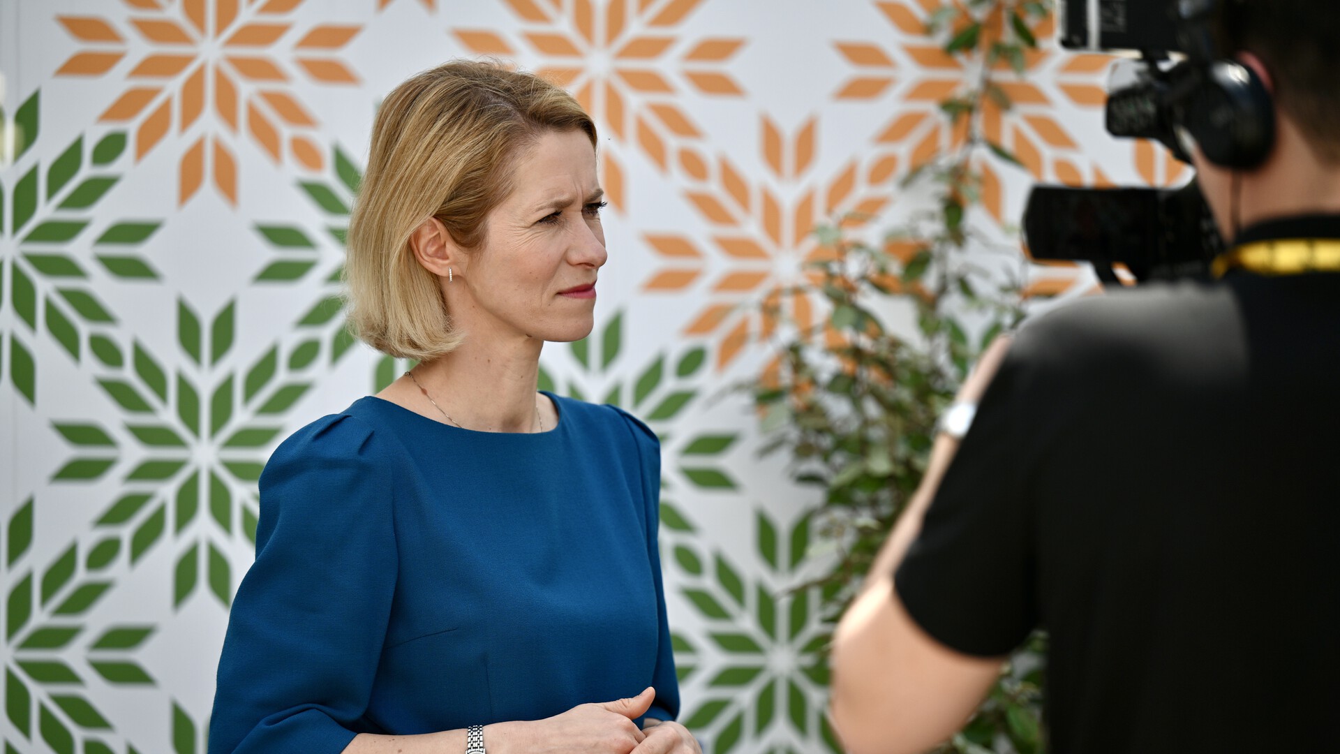 ������&nbsp; ��������: ���������� �������� ������ � ������ ������ ������