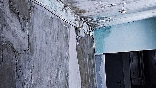 Черная плесень в арзамасской школе № 16 появилась из-за проблем с выбором подрядчиков для ремонта