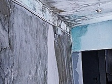 Черная плесень в арзамасской школе № 16 появилась из-за проблем с выбором подрядчиков для ремонта