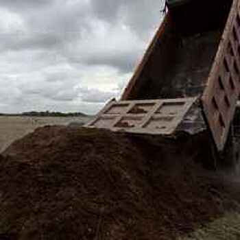 Предприятие по незаконной добыче песка нанесло Подмосковью ущерб в 8 млн рублей