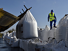 РАПУ: РФ по итогам года будет на первом месте среди поставщиков удобрений в Индию