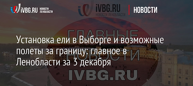 Установка ели в Выборге и возможные полеты за границу: главное в Ленобласти за 3 декабря