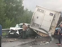 На трассе М-5 под Симом столкнулись два грузовика и две легковушки, есть погибший
