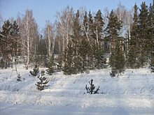 Пенсионеры из Красноярска оказались в снежном плену посреди тайги