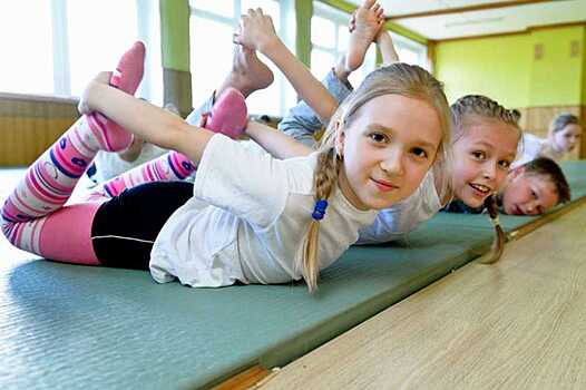 В Воронежских школах будут проводить занятия по гимнастике