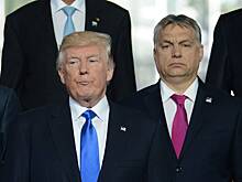 Трамп похвастался дружбой с Орбаном
