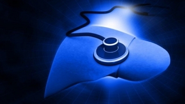 Ученые нашли способ эффективно побороть цирроз печени